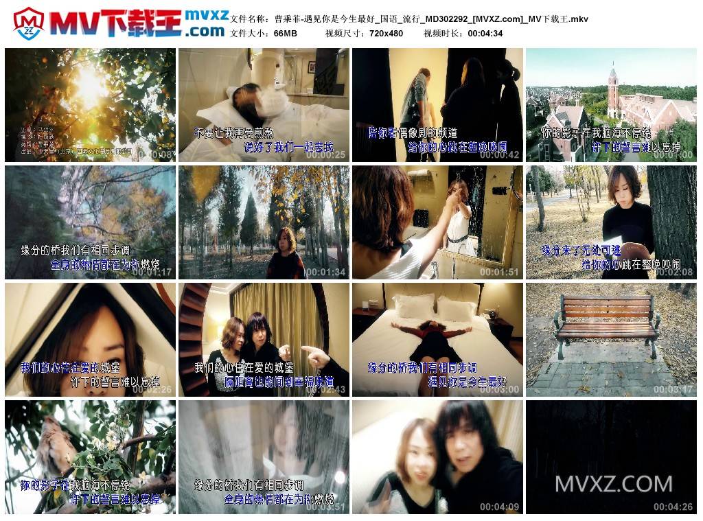 曹乘菲-遇见你是今生最好_国语_流行_MD302292